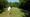 GolfonGrass