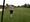 Backsheep88