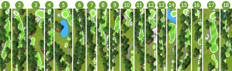 SkyGolf Courses